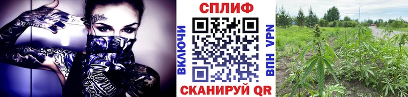 Канабис марихуана  Светлый 